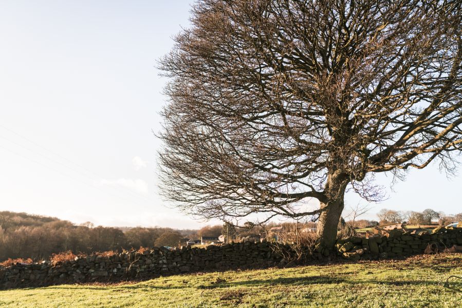 Click Here To Enlarge This Photo Of Croft View Cottage